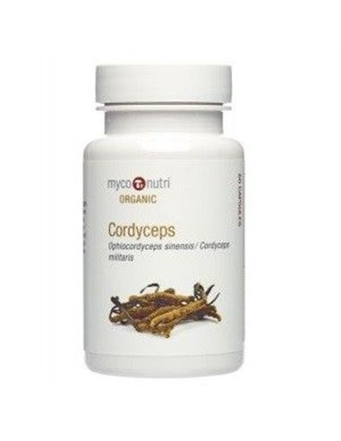 Cordyceps sinensis, Orgánico 60cáps. (MycoNutri)